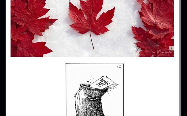 Why End Race Based Law?