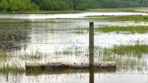 Morley flooding, 2013