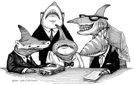 shark-lawyers