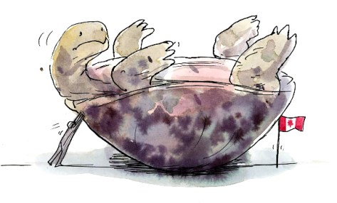 "Trouble On Turtle Island" - Illustration by Graham Roumieu