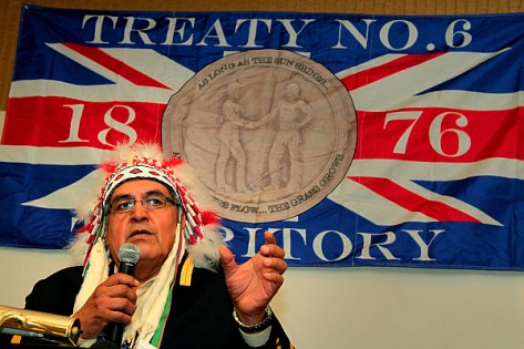 Lasia-Kretzel-ckom-news