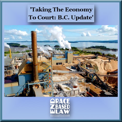 ERBLTakingTheEconomyToCourt-BCUpdate800x800