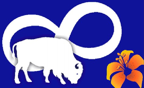 MetisNationSaskatchewanMinusText