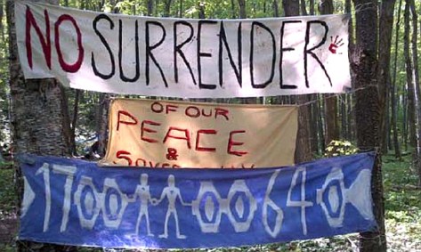 ‘IDLE NO MORE--DECLARATION OF ANISHINABEK NATIONHOOD’