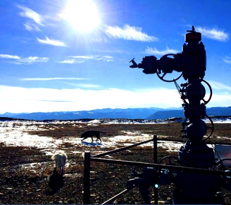 Photograph from 2016 Atlas of Cumulative Land Disturbance