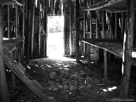 Longhouse(TishFarrell)(600)