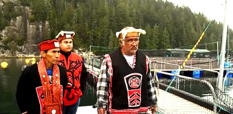 IMAGE: Tamo Campos - YouTube