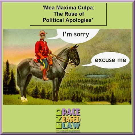 erblmeamaximaculpatheruseofpoliticalapologies600x600