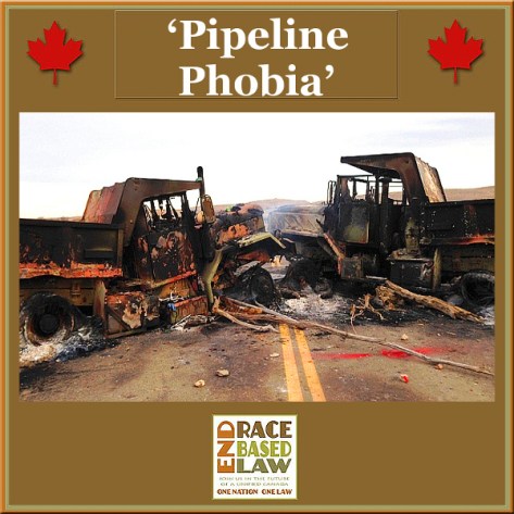 erblpipelinephobia600x600